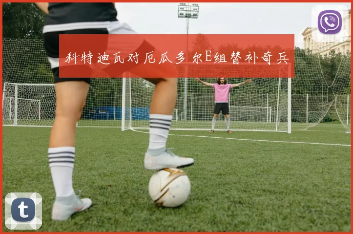 科特迪瓦对厄瓜多尔E组替补奇兵