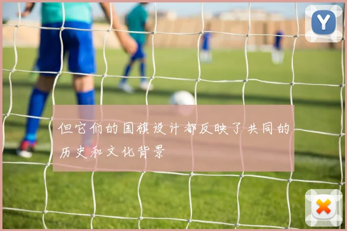 但它们的国旗设计都反映了共同的历史和文化背景
