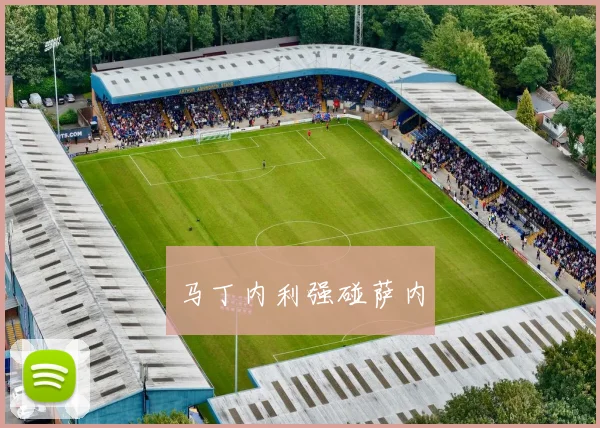 马丁内利强碰萨内