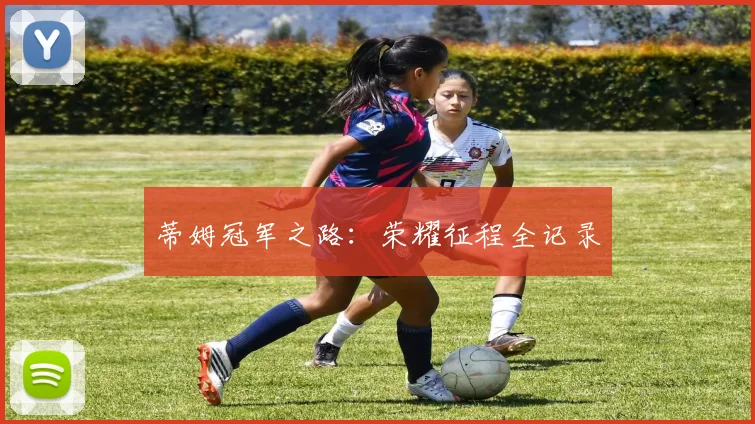 蒂姆冠军之路：荣耀征程全记录
