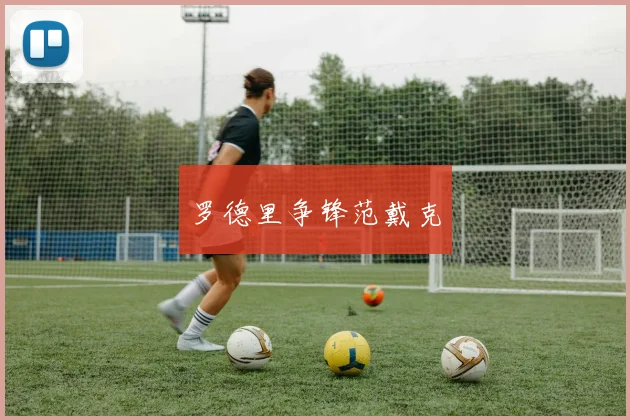 罗德里争锋范戴克