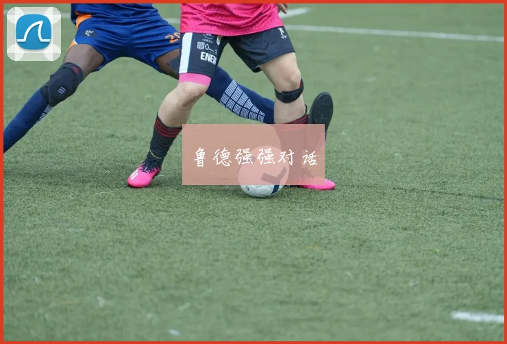 鲁德强强对话