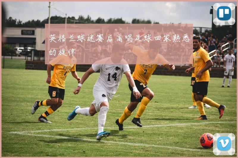 英格兰球迷赛后高唱足球回家熟悉的旋律