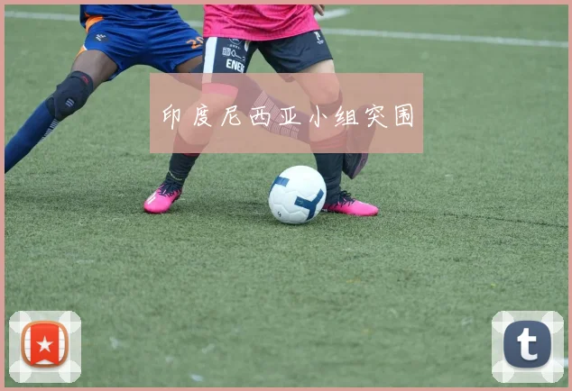 印度尼西亚小组突围