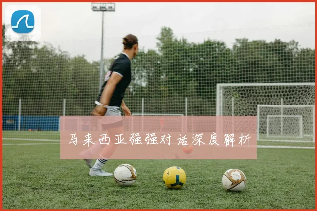 马来西亚强强对话深度解析