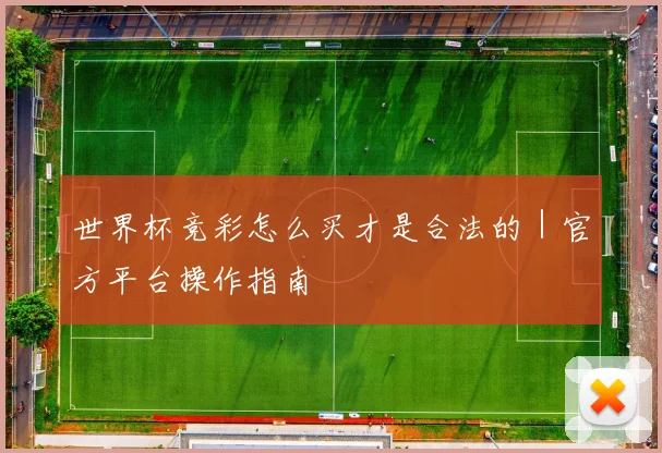 世界杯竞彩怎么买才是合法的｜官方平台操作指南