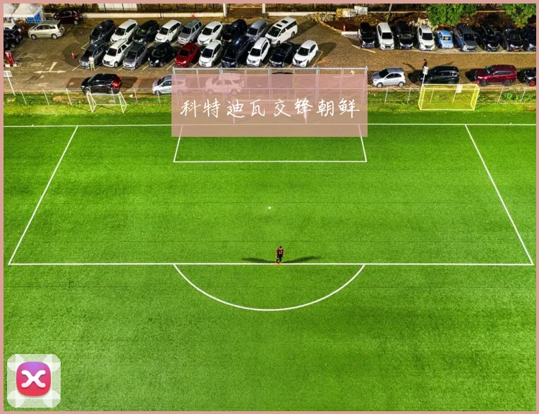 科特迪瓦交锋朝鲜