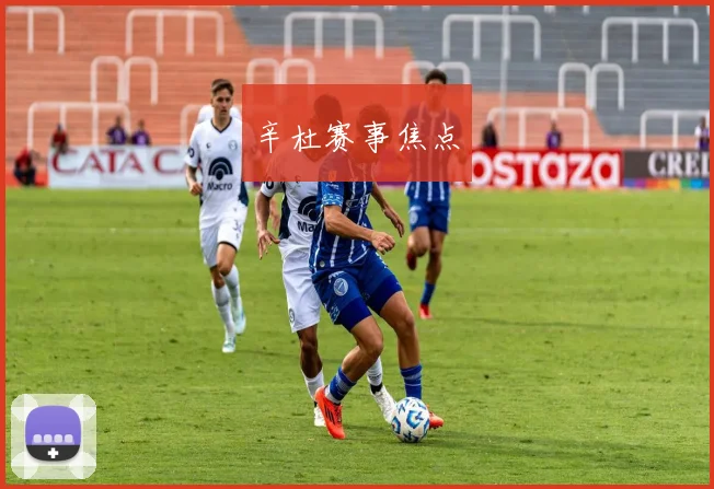 辛杜赛事焦点