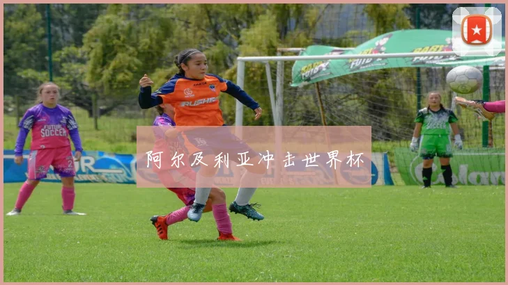 阿尔及利亚冲击世界杯