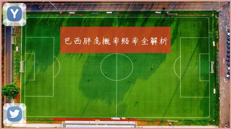 巴西胖虎概率赔率全解析
