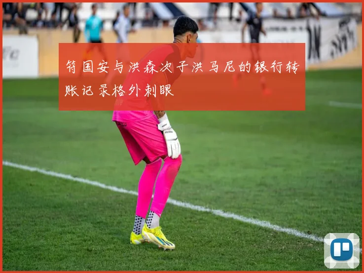 符国安与洪森次子洪马尼的银行转账记录格外刺眼