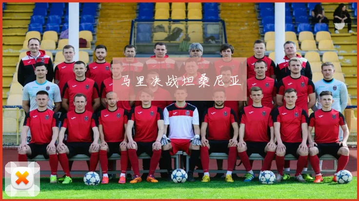 马里决战坦桑尼亚