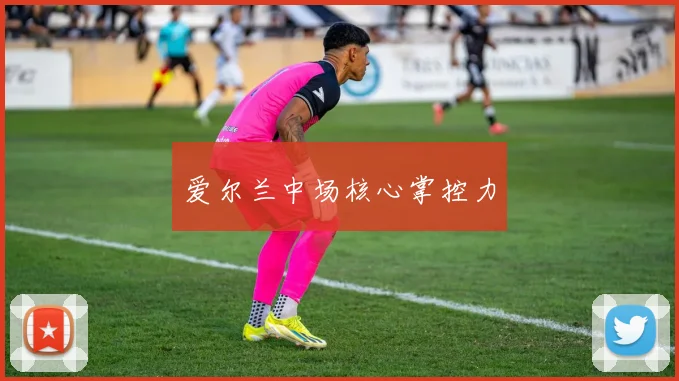 爱尔兰中场核心掌控力