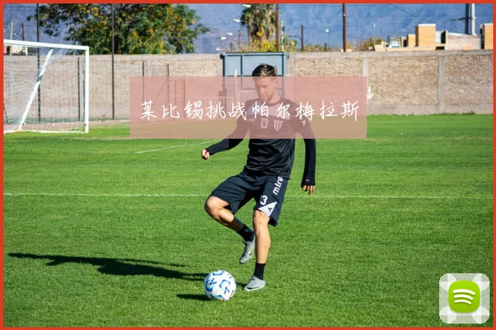 莱比锡挑战帕尔梅拉斯