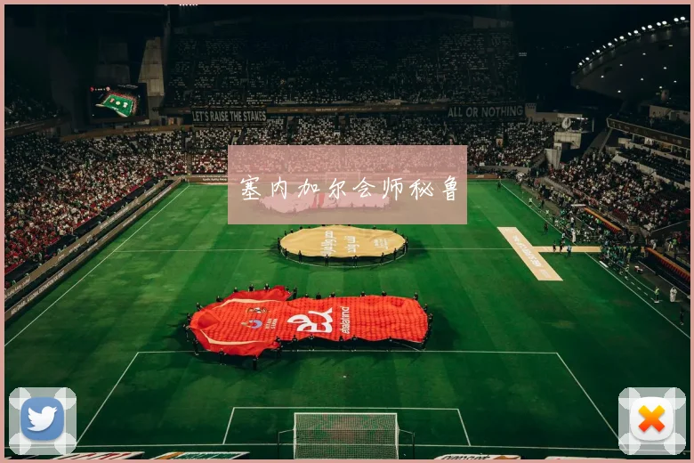 塞内加尔会师秘鲁