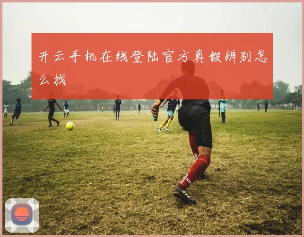 开云手机在线登陆官方真假辨别怎么找
