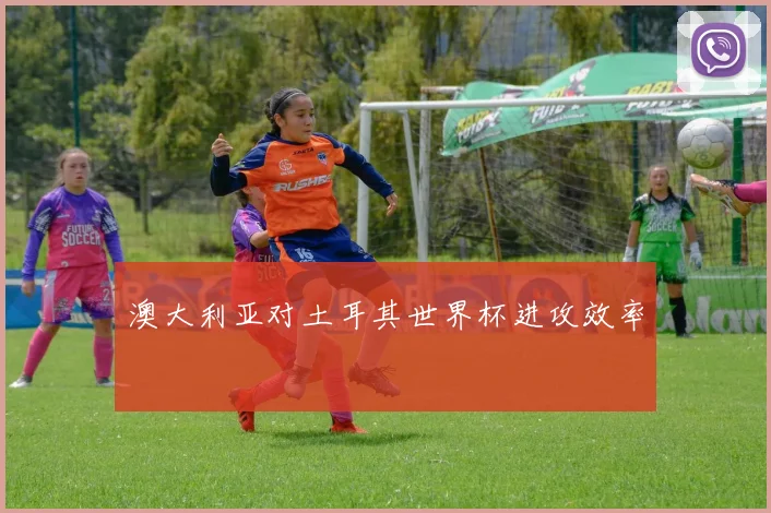 澳大利亚对土耳其世界杯进攻效率