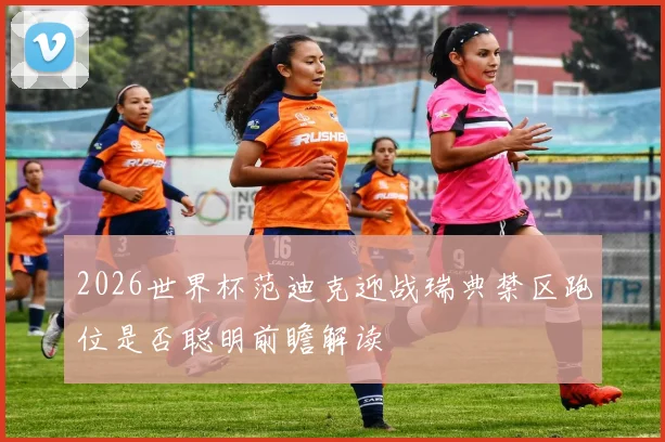 2026世界杯范迪克迎战瑞典禁区跑位是否聪明前瞻解读