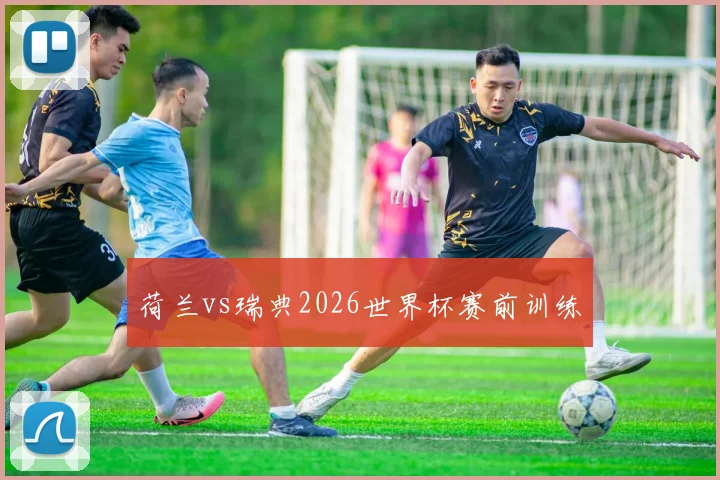 荷兰vs瑞典2026世界杯赛前训练