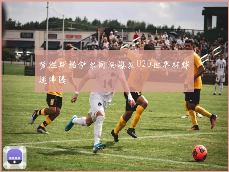 努涅斯诺伊尔同场爆发U20世界杯球迷沸腾